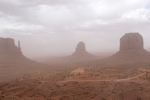 Mittens After Sandstorm
