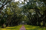 Oak Alley