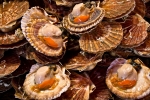 Trouville Fish Market