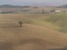 Val DOrcia Countryside Tuscany