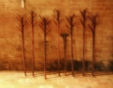Winemaking Tools